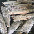 Frozen oilfish 6kg up